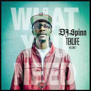 DJ Spinn - Teklife Vol 2: What You Need mp3