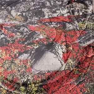 Anselm - Strom mp3