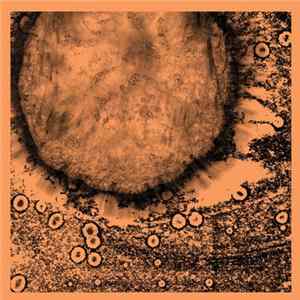 Richard Scott - Several Circles mp3