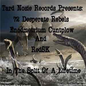 72 Desperate Rebels / Endometrium Cuntplow / RedSK - The Split Of Your Life - 3 Way Split mp3