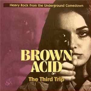 Various - Brown Acid: The Third Trip (Heavy Rock From The Underground Comedown) mp3