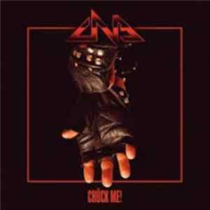 The Chuck Norris Experiment - Chück Me! mp3