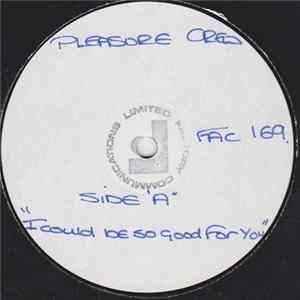 The Pleasure Crew - I Could Be So Good For You mp3