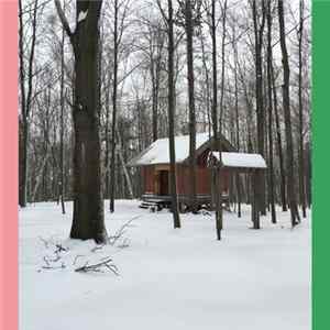 Sean Julian - Sounds of the Birch Forest mp3