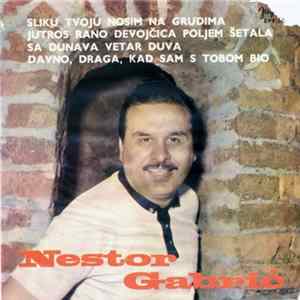 Nestor Gabrić - Sliku Tvoju Nosim Na Grudima mp3