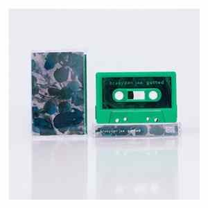Braeyden Jae - Gutted mp3