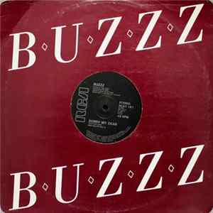 Buzzz - Sorry My Dear mp3