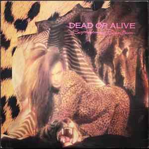 Dead Or Alive - Sophisticated Boom Boom mp3