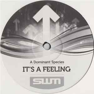 A Dominant Species - It's A Feeling mp3