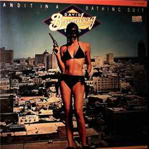 David Bromberg Band - Bandit In A Bathing Suit mp3