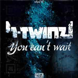B-Twinz - You Can't Wait mp3