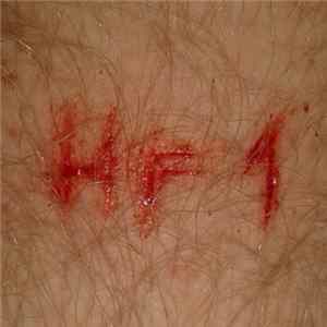 Hooligan Faust - HF1 mp3