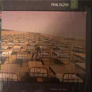 Pink Floyd - Momentary Lapse of Reason mp3