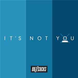 Buzzcocks - It's Not You mp3