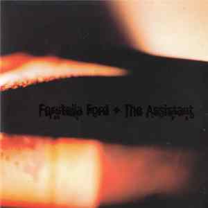 Forstella Ford + The Assistant - Forstella Ford + The Assistant mp3