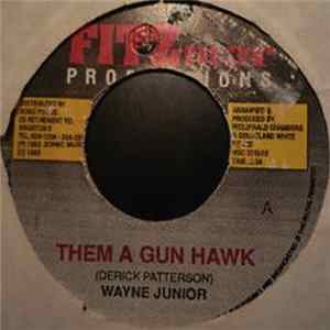 Wayne Junior - Them A Gun Hawk mp3