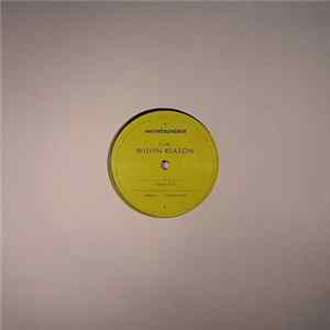 Flori - Within Reason mp3