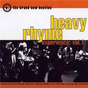 The Brand New Heavies - Heavy Rhyme Experience: Vol. 1 mp3
