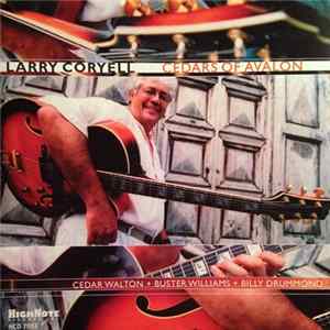 Larry Coryell - Cedars Of Avalon mp3