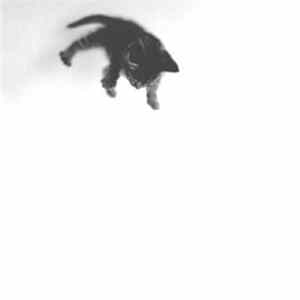 Manuel Bienvenu - Elephant Home mp3