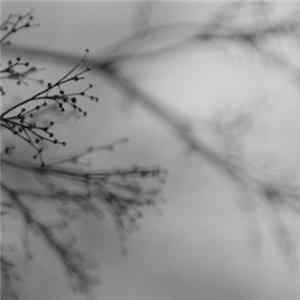 Dakota Suite, Dag Rosenqvist, Emanuele Errante - What Matters Most mp3