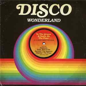 Various - Disco Wonderland mp3