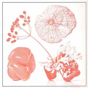 Starflyer 59 B/W Mike Adams At His Honest Weight - Like A Baby B/W Tasteful Nudes mp3