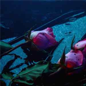 Skeleton Hands - Wake mp3