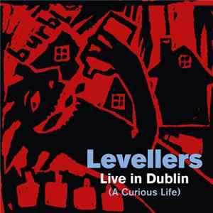 The Levellers - Live In Dublin mp3