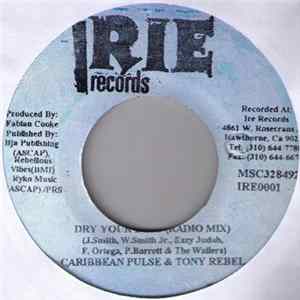 Caribbean Pulse & Tony Rebel - Dry Your Eyes mp3