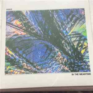 Vague - In The Meantime mp3
