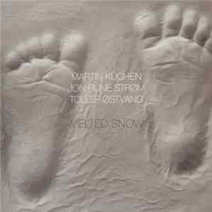 Martin Küchen, Jon Rune Strøm, Tollef Østvang - Melted Snow mp3