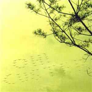 Oh! Custer - States mp3