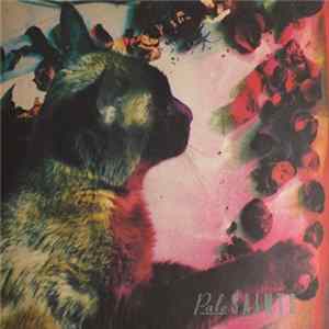 Pale Saints - The Comforts Of Madness mp3
