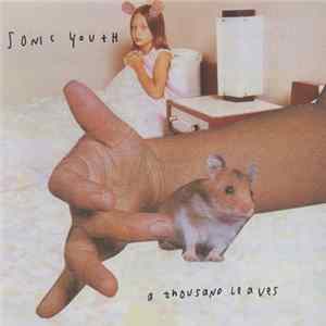 Sonic Youth - A Thousand Leaves mp3