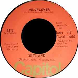 Skylark - Wildflower / The Writing's On The Wall mp3