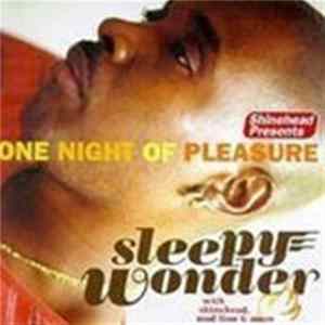 Sleepy Wonder - One Night Of Pleasure mp3