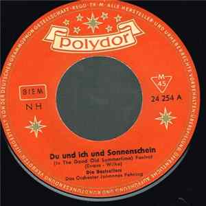Die Bestsellers - Du Und Ich Und Sonnenschein mp3
