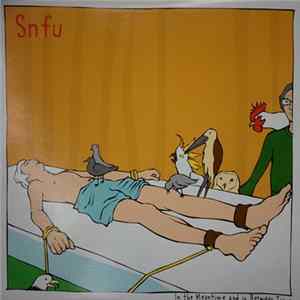 SNFU - In The Meantime And In Between Time mp3