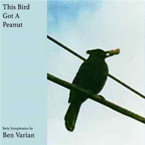 Ben Varian - This Bird Got A Peanut mp3