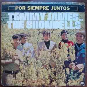 Tommy James & The Shondells - Gettin' Together mp3