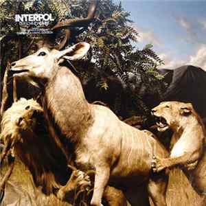 Interpol - Our Love To Admire mp3