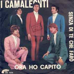 I Camaleonti - Ora Ho Capito / Senza Di Te Che Farò mp3