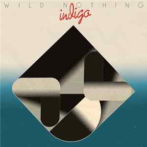 Wild Nothing - Indigo mp3