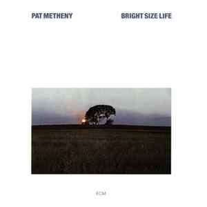 Pat Metheny - Bright Size Life mp3