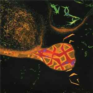 Various - Groove 174 / CD 83 mp3