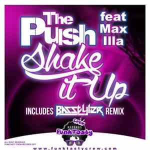 The Push feat Max Illa - Shake It Up mp3