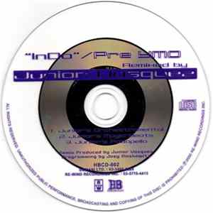 Pre YMO - InDo mp3