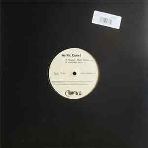 Arctic Quest - Raygun mp3