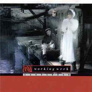 Working Week - Surrender mp3